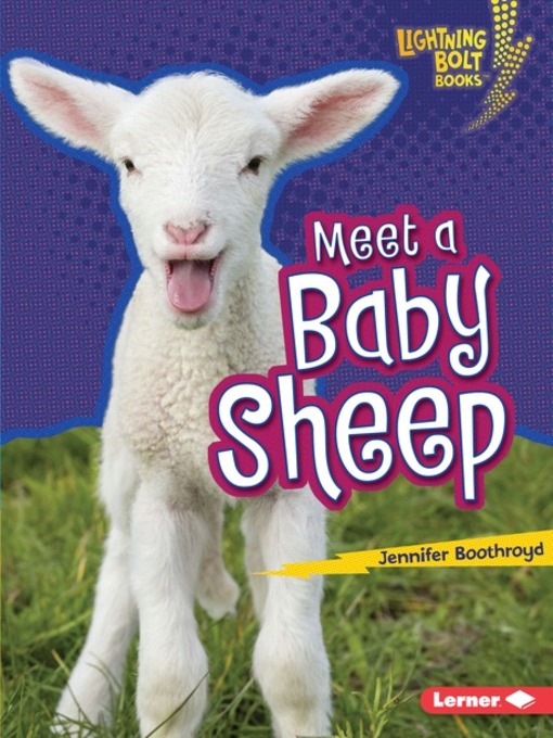 Title details for Meet a Baby Sheep by Jennifer Boothroyd - Available